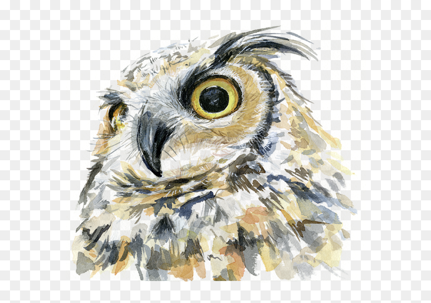 Great Horned Owl Art, HD Png Download - great horned owl png