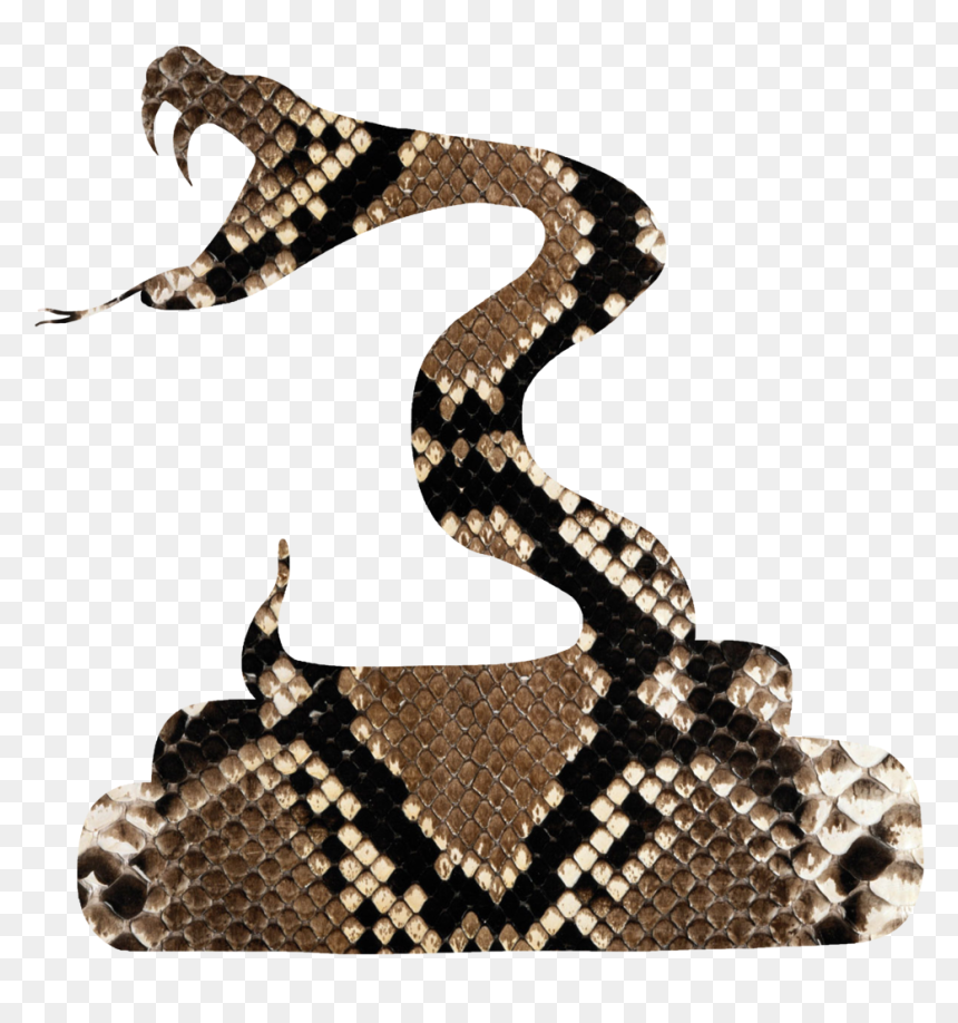 Rattlesnake Vipers Silhouette - Snakes, HD Png Download - gadsden snake png