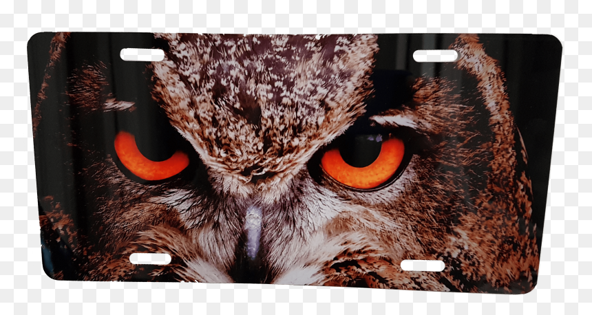License Plate Owl - Scary Owl, HD Png Download - great horned owl png