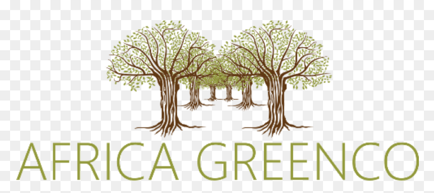 Illustration, HD Png Download - african tree png