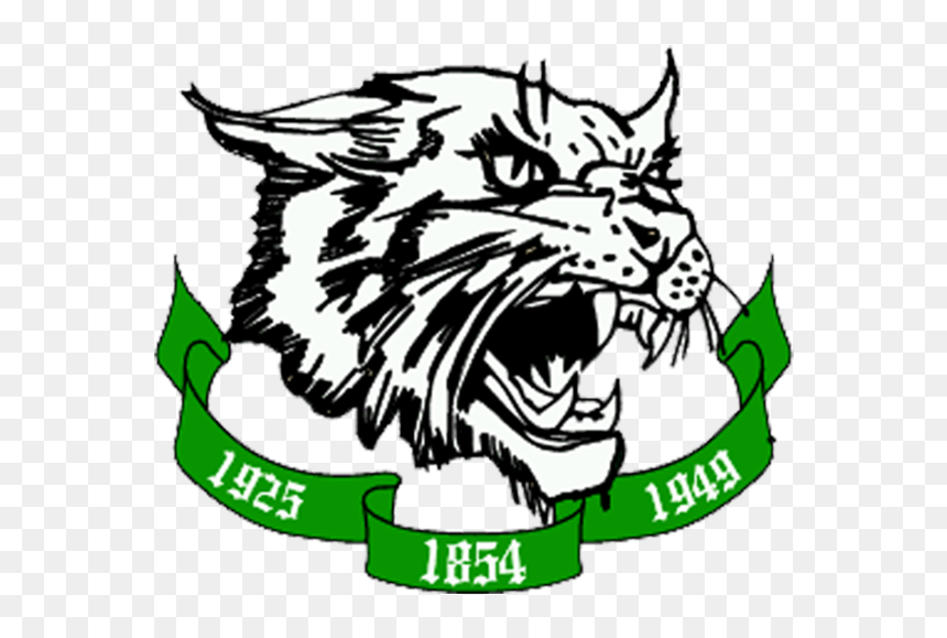 Arundel High School Wildcats, HD Png Download - wildcat paw png