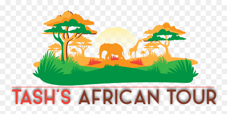 Landscape Clipart Safari African - African Safari Trees Clip Art, HD Png Download - african tree png