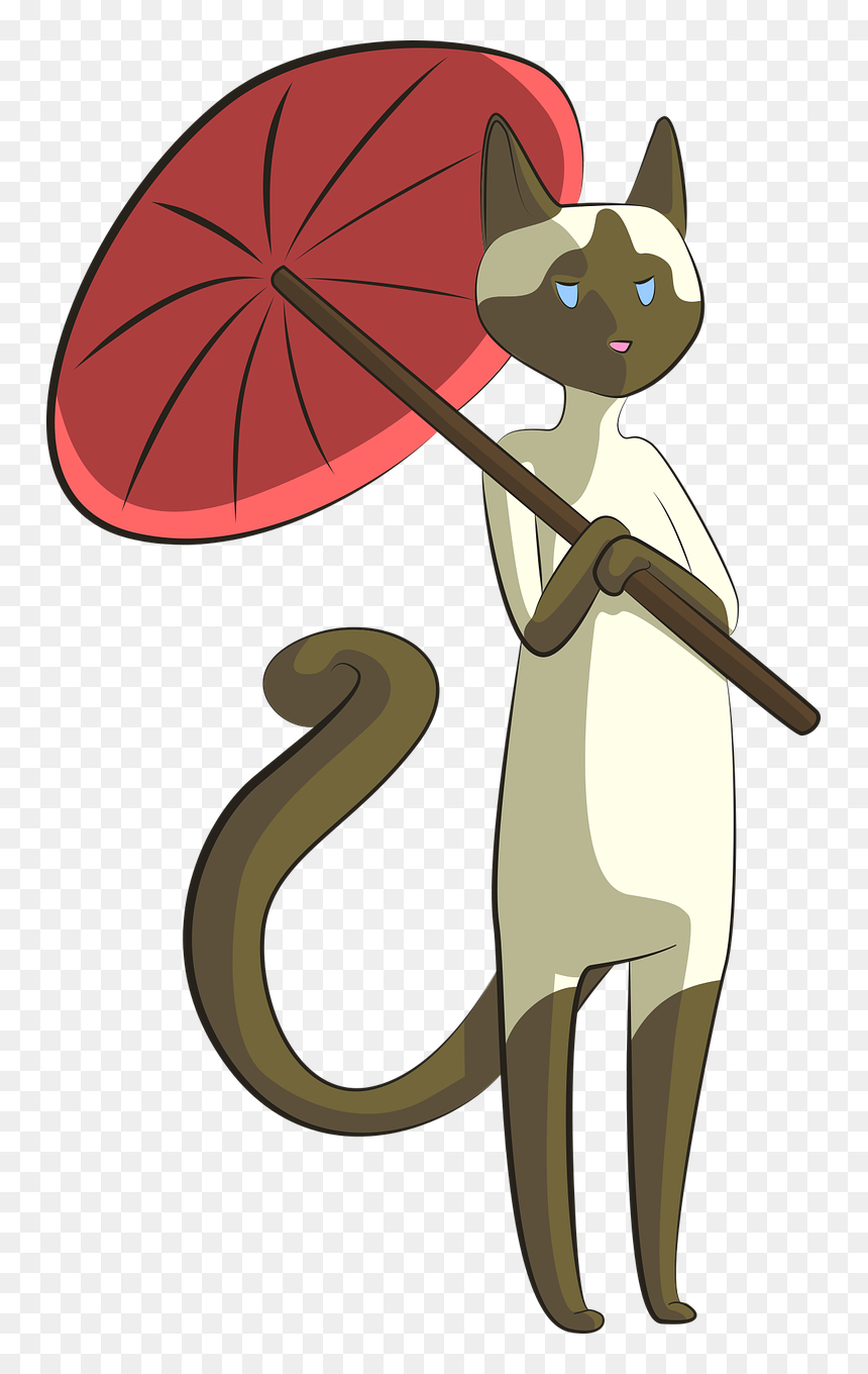 Cat With Umbrella Png, Transparent Png - siamese cat png