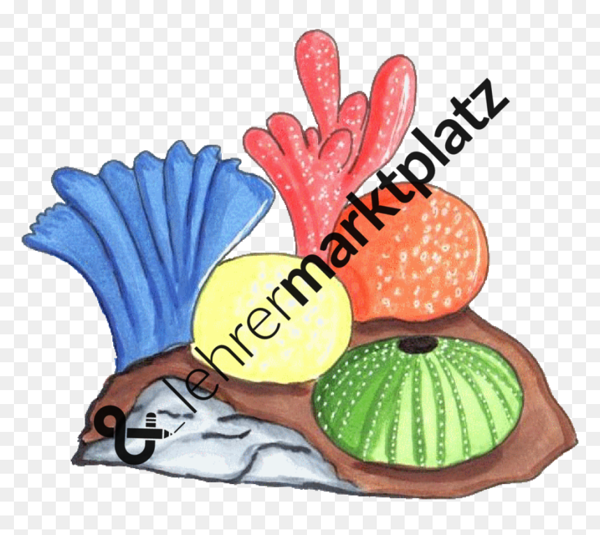 Transparent Beet Png - Cartoon, Png Download - cartoon potato png