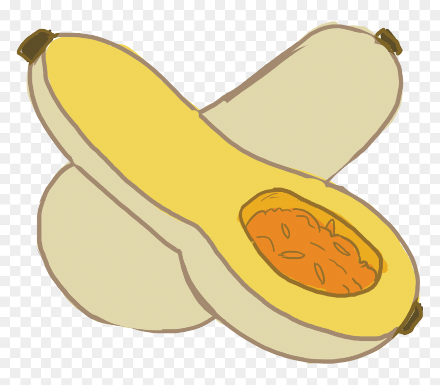 Transparent Butternut Squash Clipart - Winter Squash Clipart, HD Png Download - butternut squash png