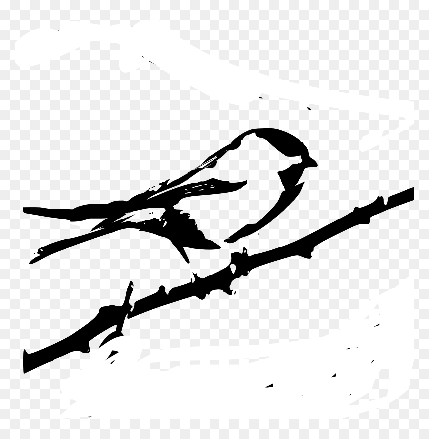 Carolina Chickadee - Chickadee Black Clipart, HD Png Download - chickadee png