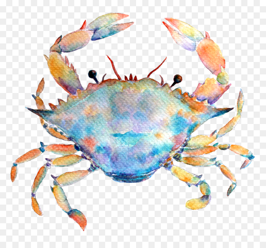 7-1 - Cancer, HD Png Download - cancer sign png