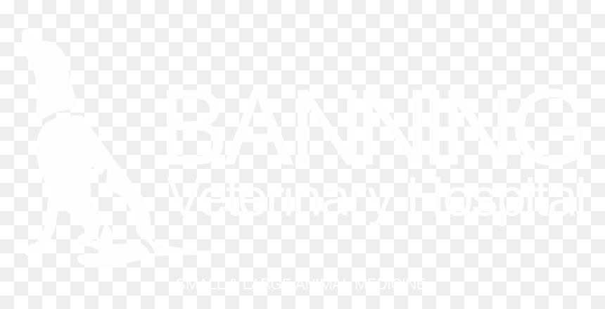 Banning Veterinary Hospital - Great Totham Primary School, HD Png Download - groucho marx glasses png