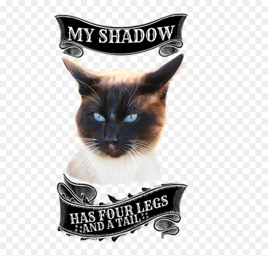 Balinese, HD Png Download - siamese cat png