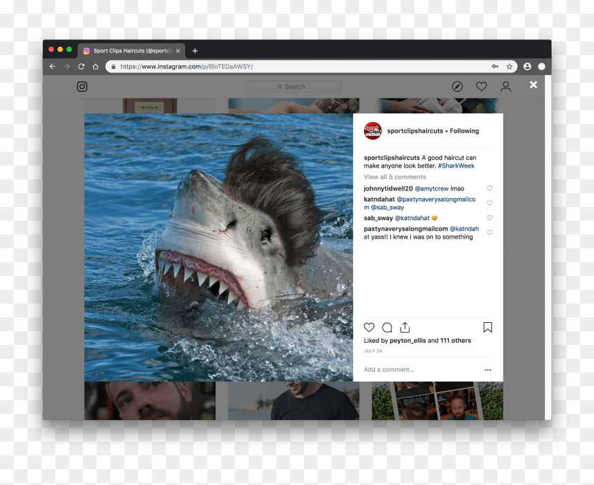 17 Biggest Fish Ever Caught, HD Png Download - sport clips logo png