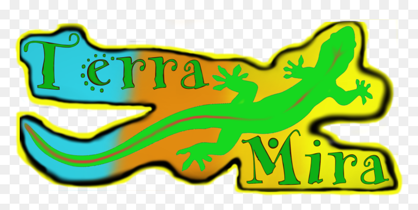 Graphic Design, HD Png Download - boa constrictor png