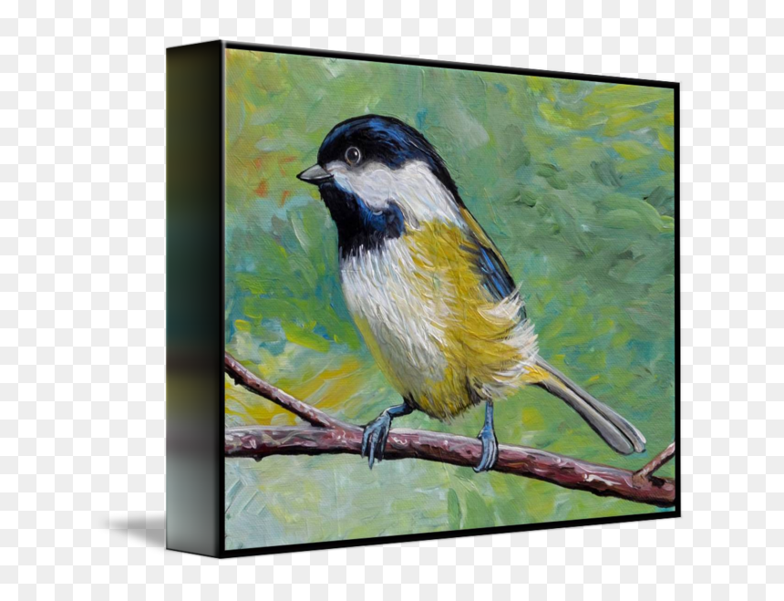 Chestnut-backed Chickadee, HD Png Download - chickadee png