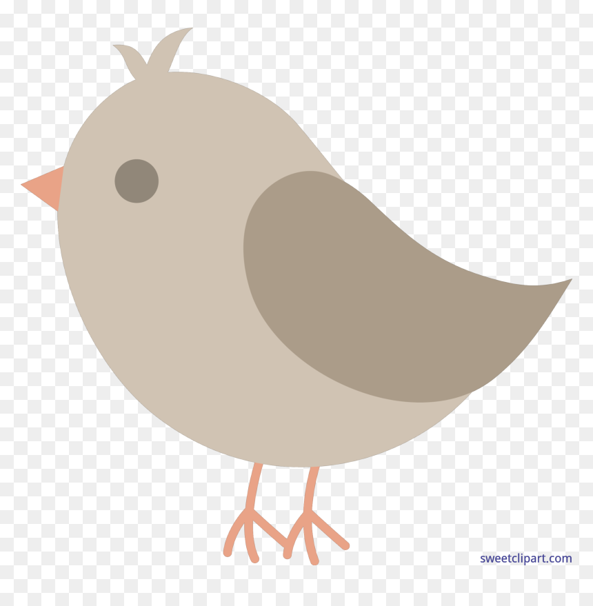 Bird In Nest Clipart - Transparent Bird Clipart, HD Png Download - chickadee png