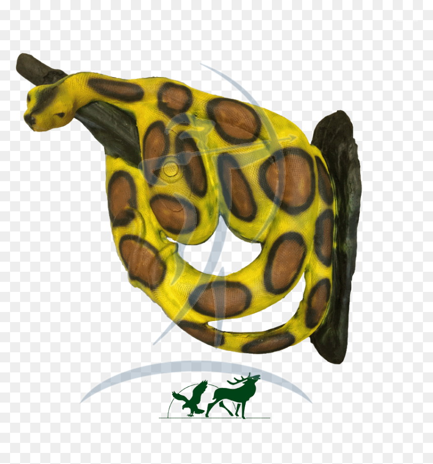 Leitold 3d-target Boa Constrictor Light Green - Illustration, HD Png Download - boa constrictor png