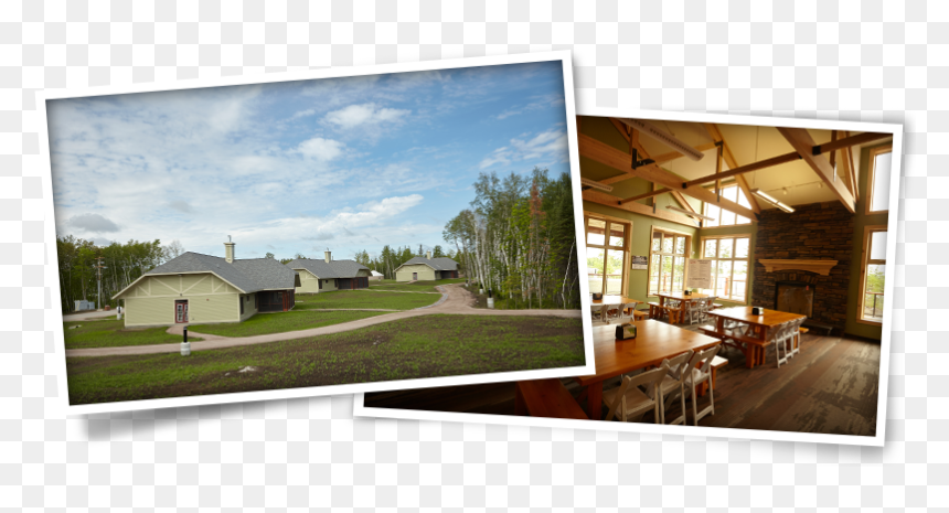 Transparent Horton Png - Whiteshell Manitoba Tim Hortons Camp, Png Download - horton png