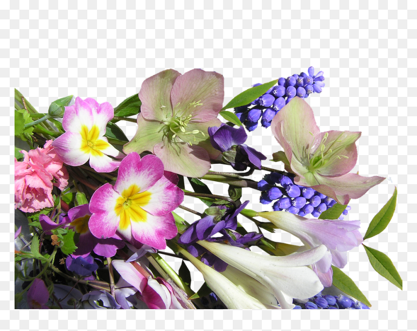 Flower, Bunch, Mixed, Spring , Png Download - Flower, Transparent Png - flower bunch png