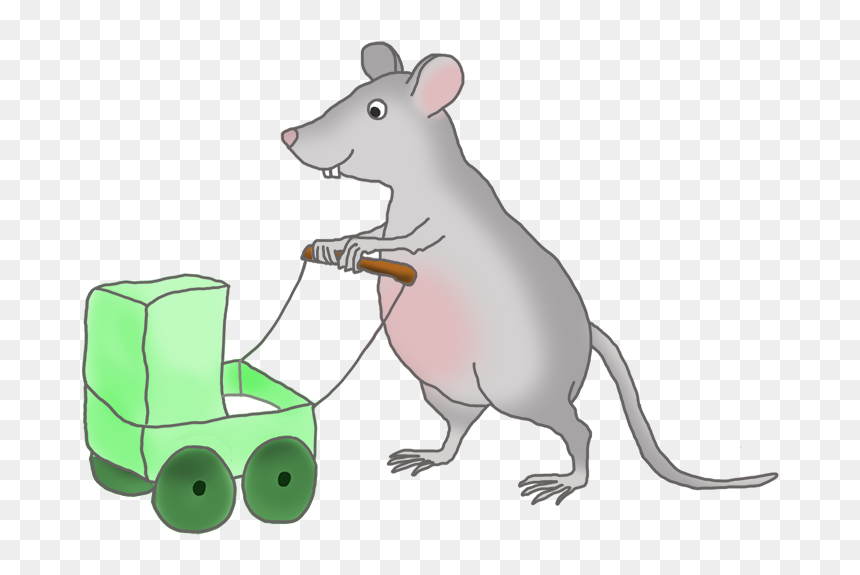 Mouse With Green Pram - Gerbil, HD Png Download - rodent png