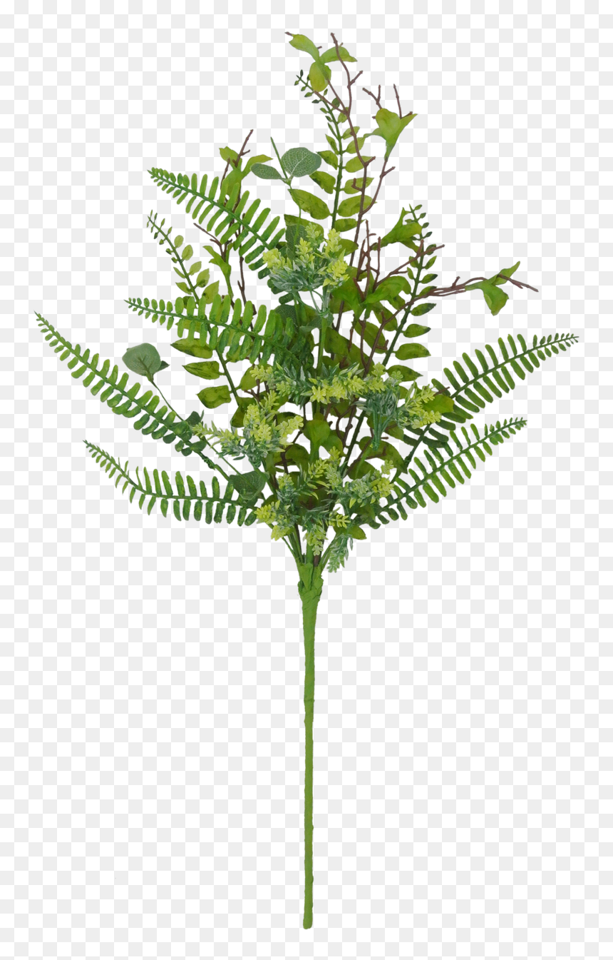 23 - Cicely, HD Png Download - greenery wreath png