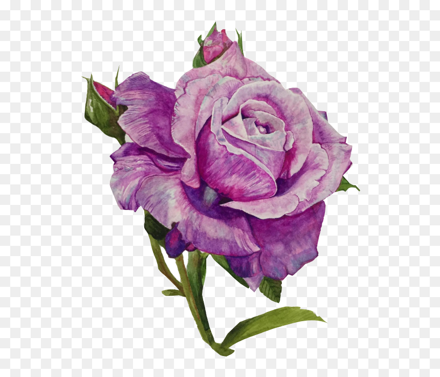 Floribunda, HD Png Download - flowers vintage png