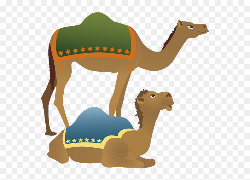 Clip Art Camels, HD Png Download - animals clipart png