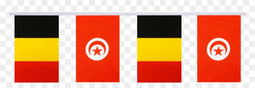 Tunisia Friendship Bunting Flags - Pirate Party Of Tunisia, HD Png Download - tunisia flag png