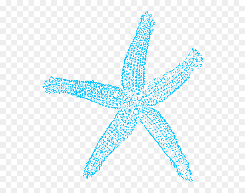 Fish Clip Art, HD Png Download - starfish cartoon png