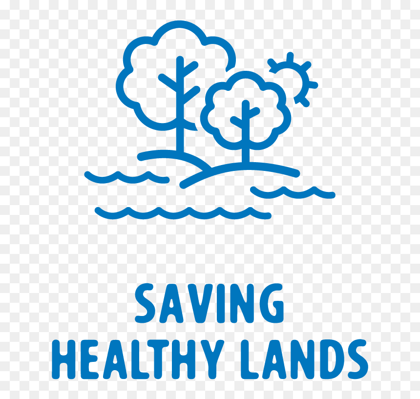 Pc Icon Green Land - Health Expenditure In Bangladesh 2018, HD Png Download - land icon png