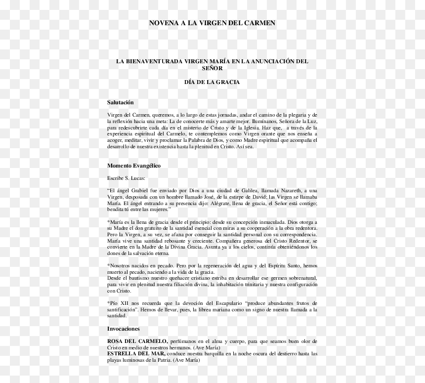 Document, HD Png Download - virgen del carmen png