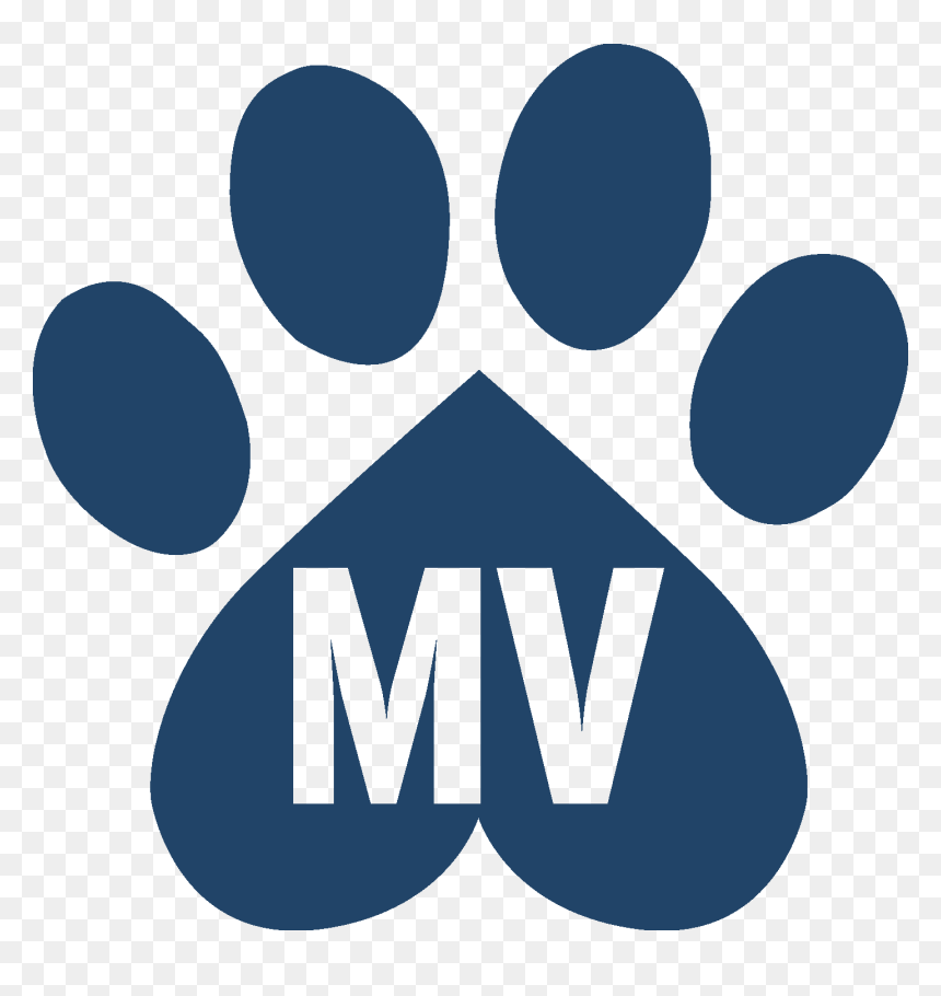 Mvpaw No Inner White - Circle, HD Png Download - personality png