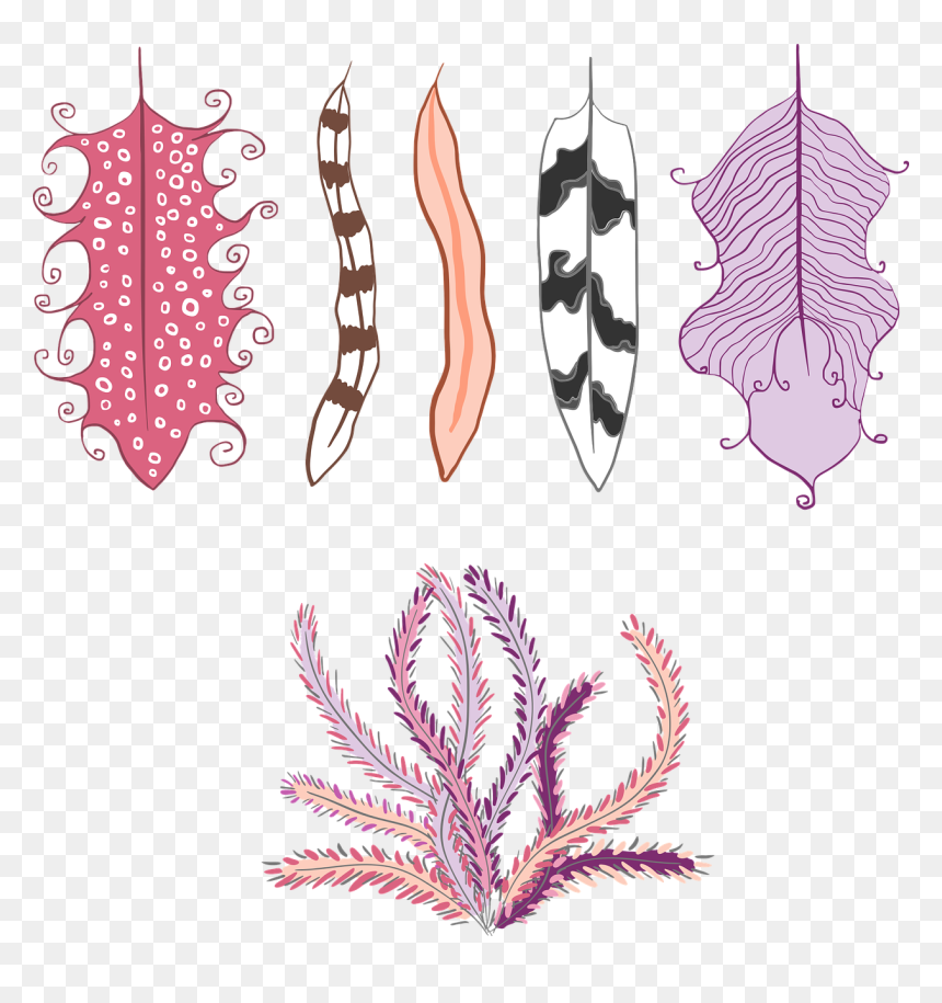 Transparent Ethnic Clipart - Plumas Hippie Png, Png Download - plumas png