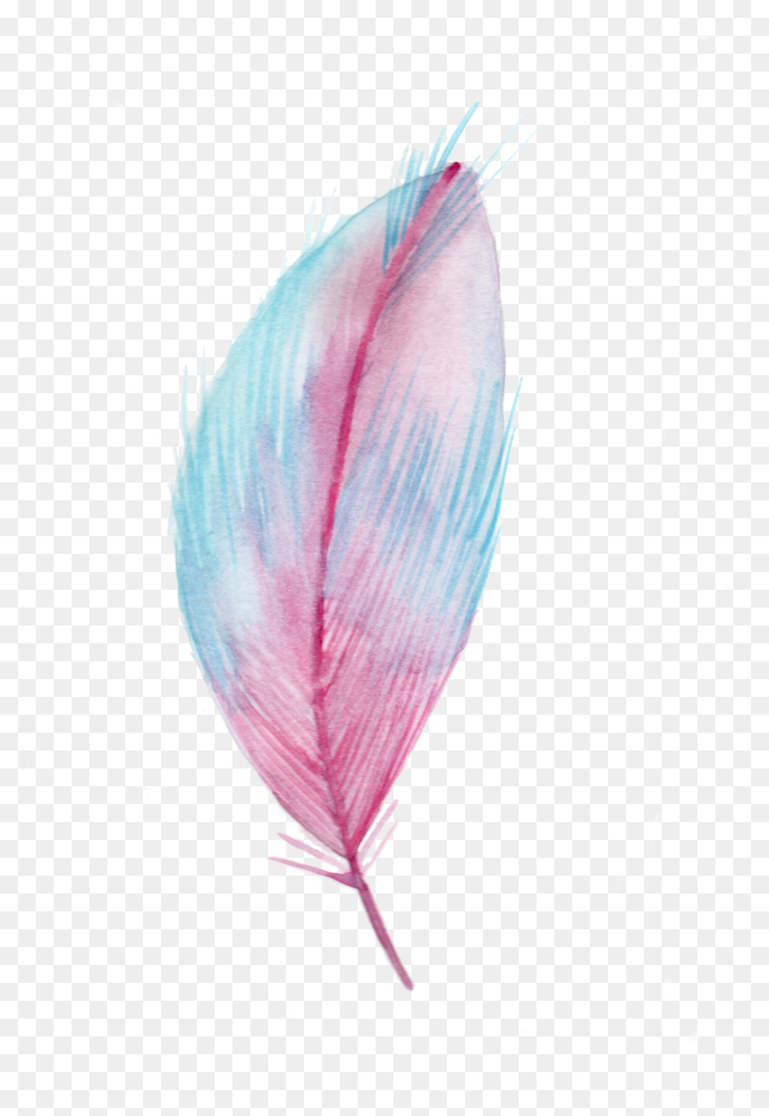 Illustration, HD Png Download - plumas png