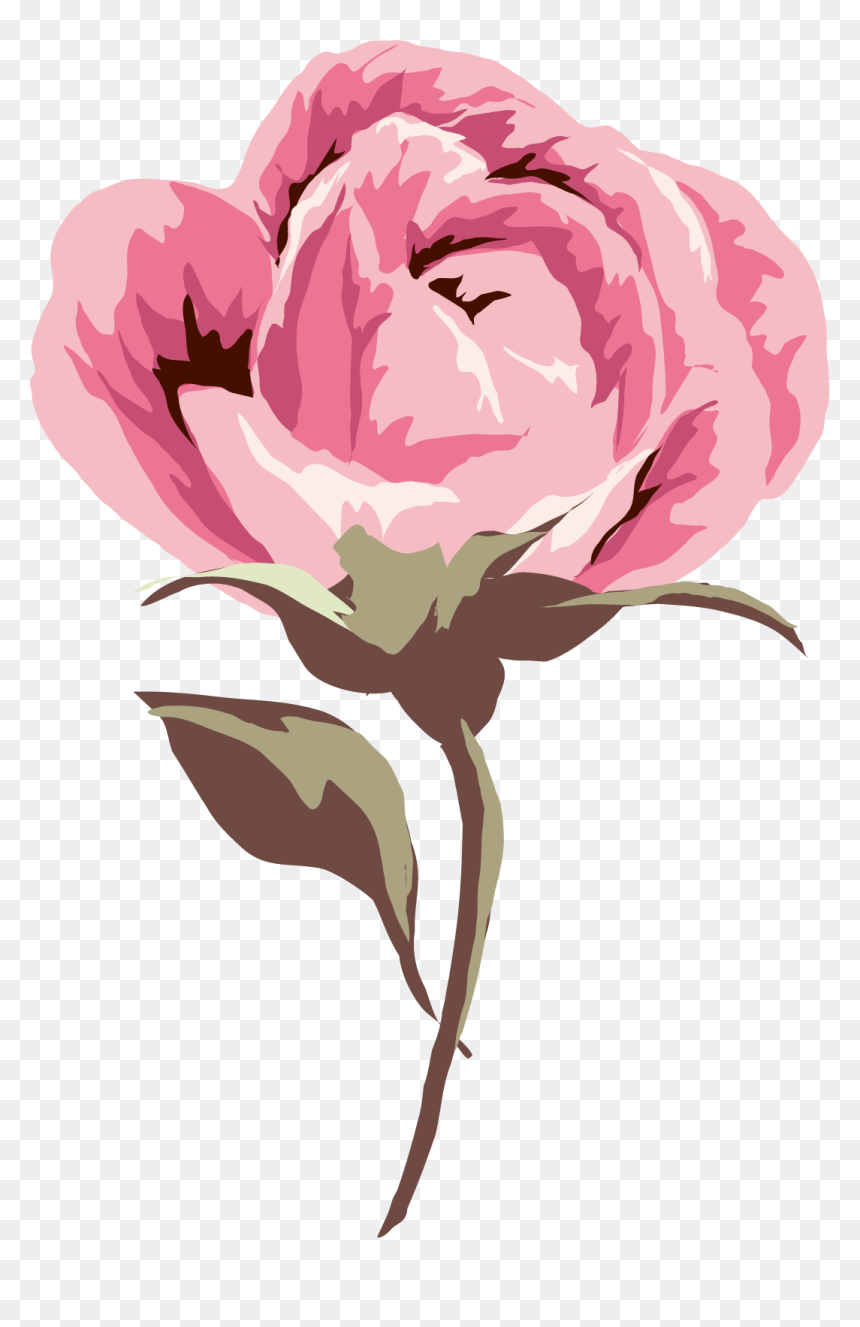 Common Peony, HD Png Download - pink petals png