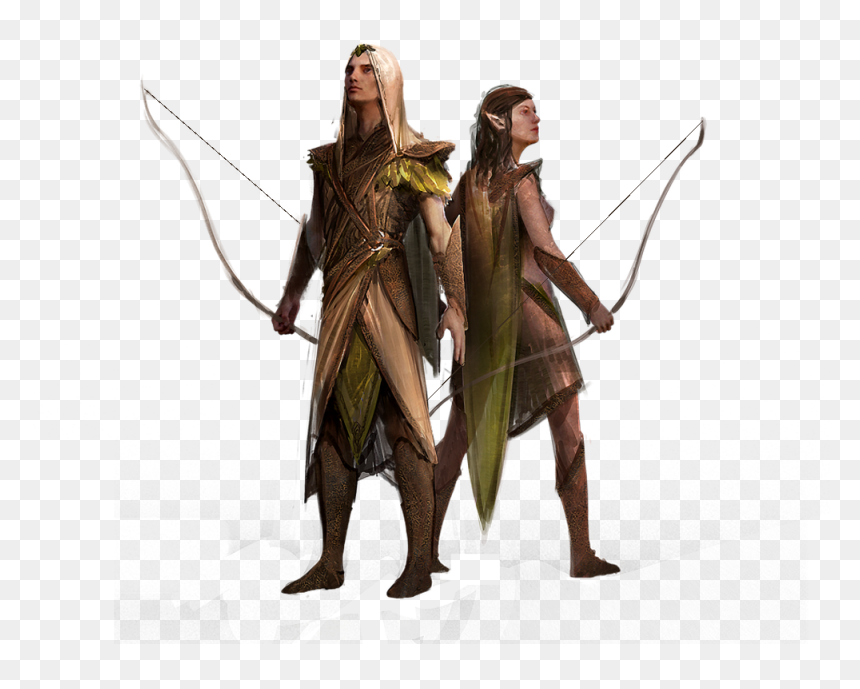 Ashes Of Creation Elves, HD Png Download - hide png