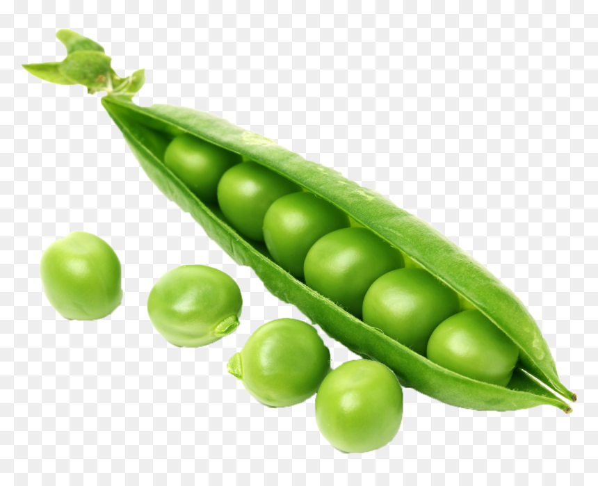Pasta Salad, Noodle, Gnarly Pepper, Like Mayo, Plain - Sweet Pea Food, HD Png Download - sweet pea png