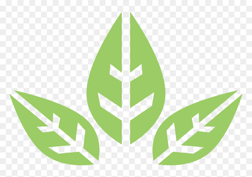 Transparent Organic Icon Png - Savons De Leandra, Png Download - green leaf icon png