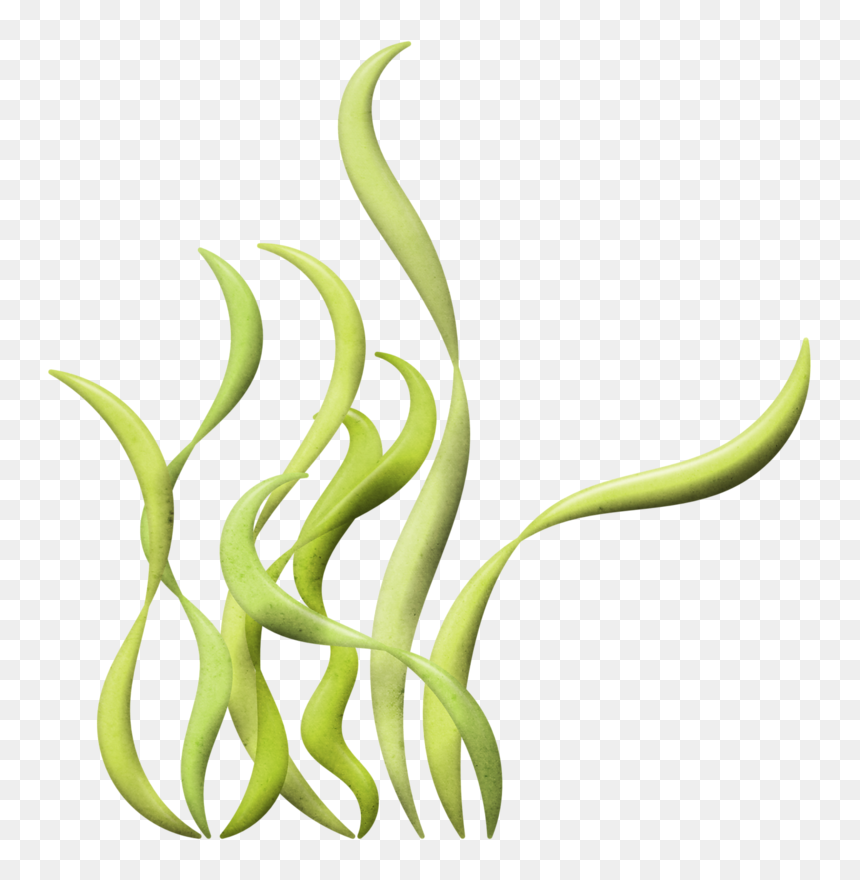 Illustration, HD Png Download - creatures png