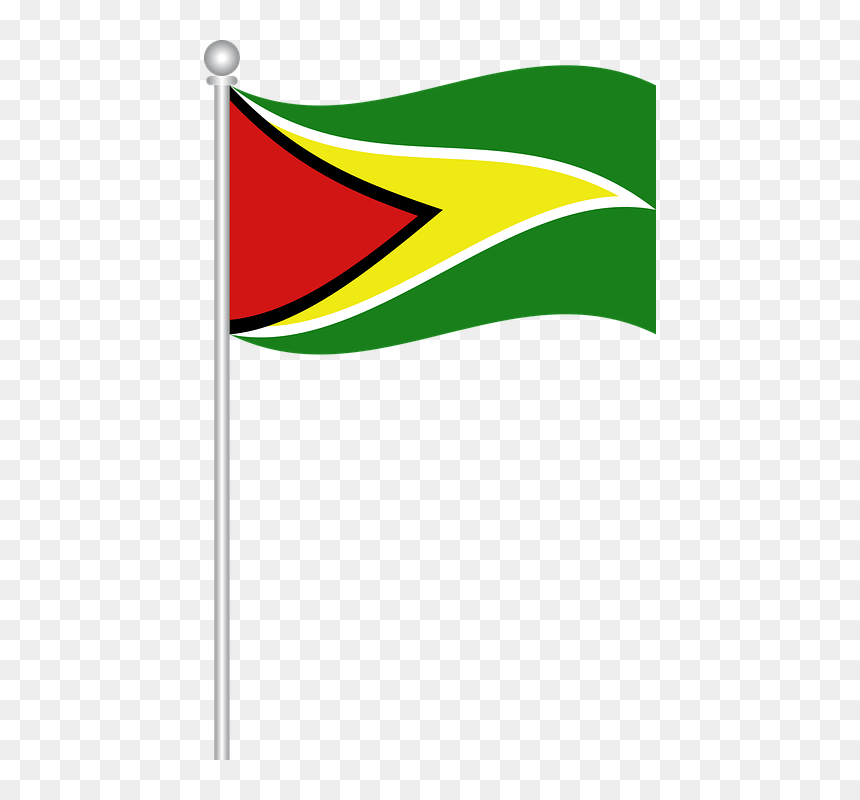 Flag Of Guyana, Flag, Guyana, World, Nation - Guyana Flag On Pole, HD Png Download - norway flag png