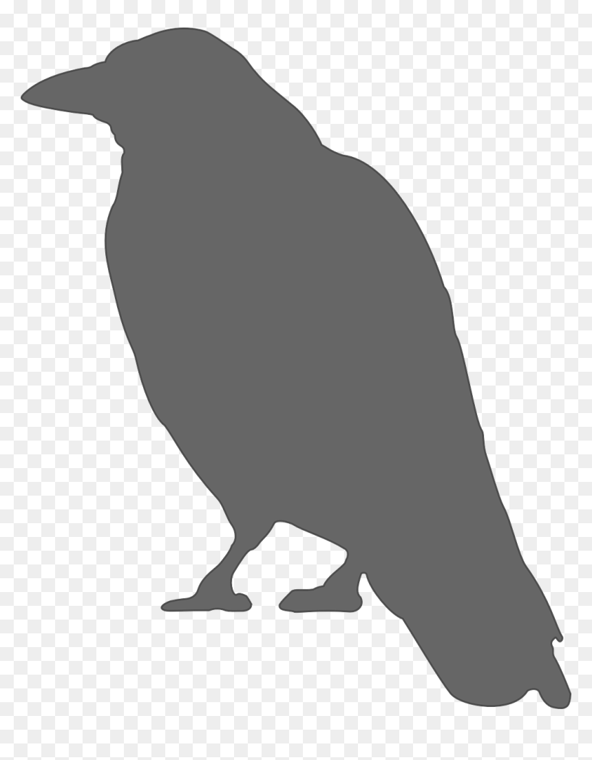 Crow Clip Art, HD Png Download - raven bird png