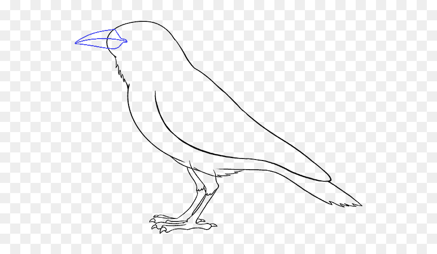 Clip Art For Free Download - Perching Bird, HD Png Download - raven bird png