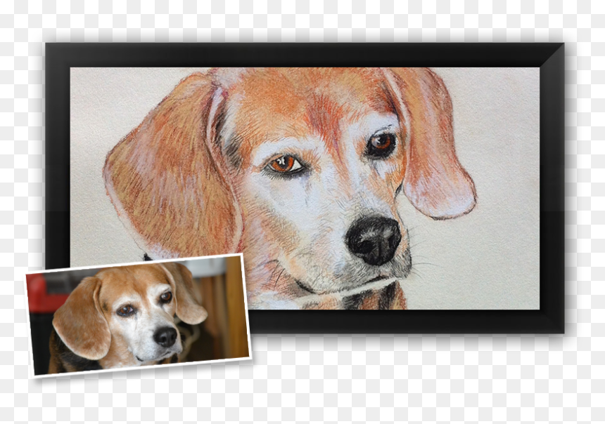 Beagle-harrier, HD Png Download - foxhound png