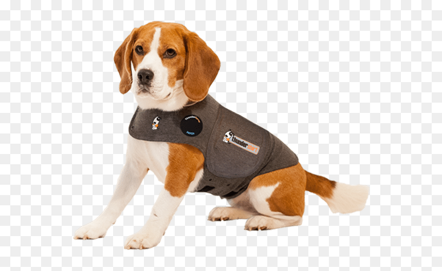 Dog Thundershirt, HD Png Download - foxhound png