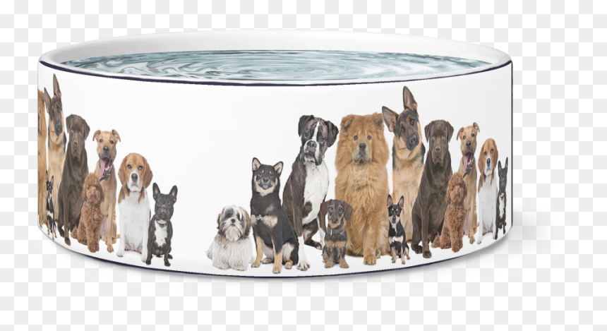 Dogs Family, HD Png Download - foxhound png