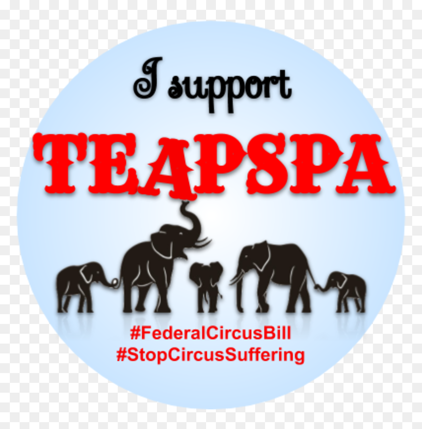 Indian Elephant, HD Png Download - circus animals png