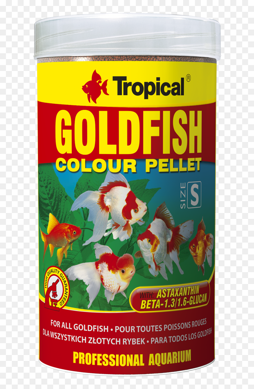 Goldfish Colour Pellet - Tropical Goldfish Colour Pellets, HD Png Download - goldfish snack png