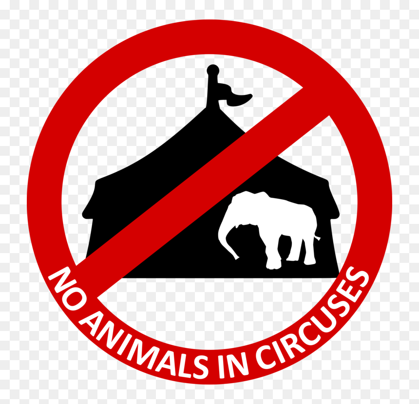 Area,text,brand - Photography, HD Png Download - circus animals png