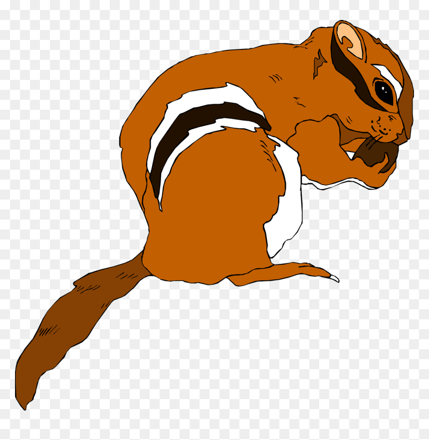 Animated Squirrel Clipart 16, Buy Clip Art - Transparent Background Chipmunk Clipart, HD Png Download - squirrel silhouette png
