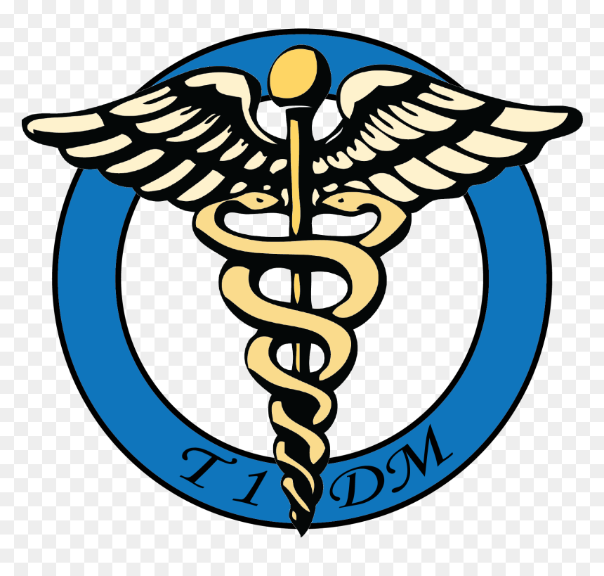 Hey Ems Diabetic Here Thinking Of Getting - Type 1 Diabetes Emblem, HD Png Download - hey png