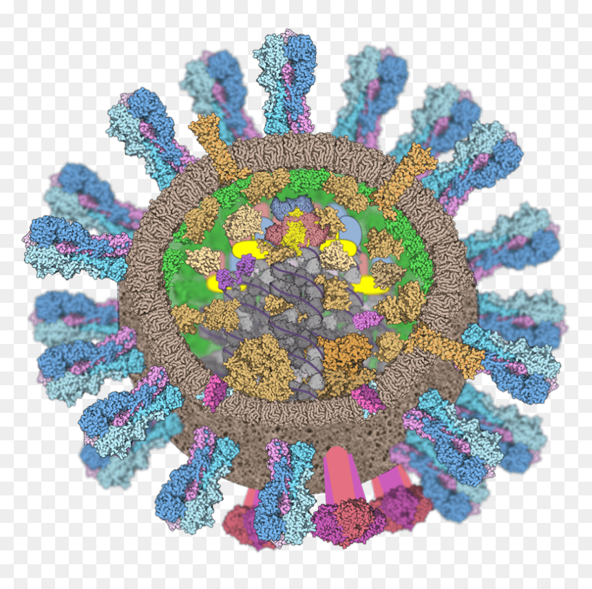 Influenza Virus - Flu Virus, HD Png Download - flu png
