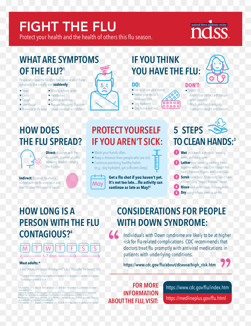 Research Factsheet, HD Png Download - flu png