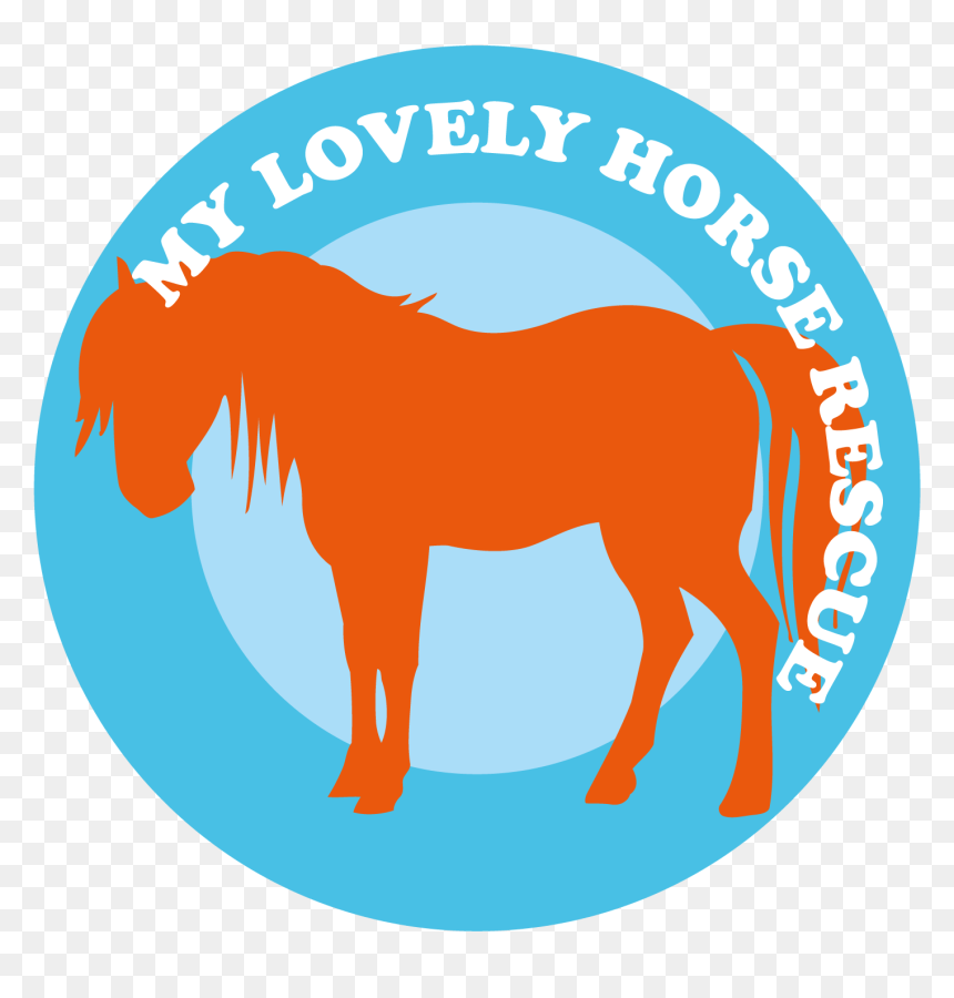 Mane, HD Png Download - horse tail png